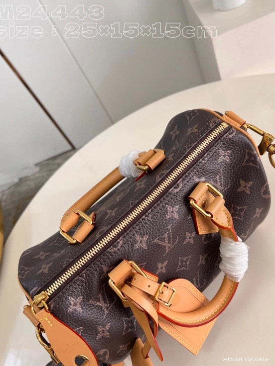 Official oldcobbler SPEEDY Louis Vuitton 25 0815